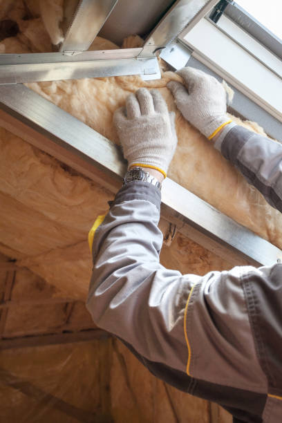 Best Insulation Maintenance and Repair in Silver Lakes, CA